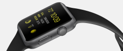 Apple Watch 42mm Space Gray Alluminum Case Black Sport Band (MJ3T2)