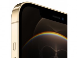 iPhone 12 Pro Max 256Gb (Gold)