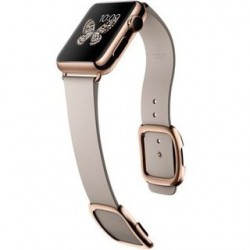 Apple Watch Edition 38mm 18-Karat Rose Gold Case with Rose Gray Modern Buckle