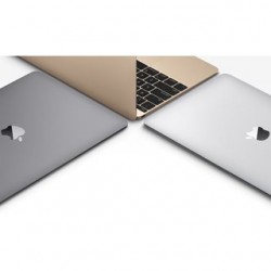 Apple MacBook Space Grey 12" MJY42